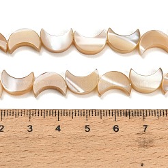 Natural Trochid Shell/Trochus Shell Beads Strands&nbsp;SH-CBA93AD-01