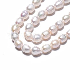天然養殖淡水パールビーズ連売り  ライス  貝殻色  7.5~11x6.5~7mm  穴：0.8mm  約40~42個/連  13.58 ~14.29''（34.5cm〜36.3cm）&nbsp;PEAR-N012-06T