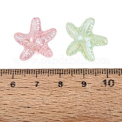 Transparent Acrylic Beads&nbsp;AC-N166-01