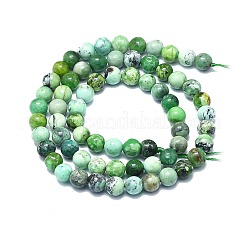 Natural Variscite Beads Strands&nbsp;G-F715-109A