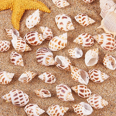 Spiral Shell Pendants&nbsp;SSHEL-PH0001-03-1
