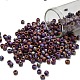 TOHO 6/0 Round Beads&nbsp;SEED-XTR06-0406F-1