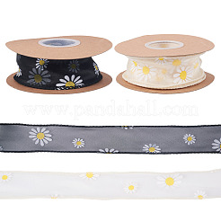 2 Rolls 2 Colors Polyester Ribbon&nbsp;OCOR-TA0003-16