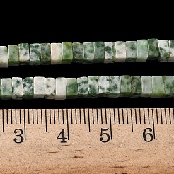 Natural Green Spot Jasper Beads Strands&nbsp;G-A280-C14-01