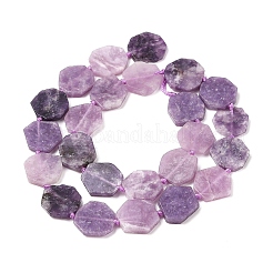 天然レピドライトビーズ連売り  六角  13.5~18x14~18x3~4mm  穴：1mm  約23~24個/連  15.35~ 15.75インチ（39~40cm）&nbsp;G-L095-A01-01B