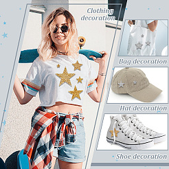 42スタイルのスターグリッターホットフィックスラインストーン10個  パッチにアイロン  ドレスシューズ衣服装飾  ミックスカラー  21~74x22~78x2~2.5mm&nbsp;FIND-PH0017-02