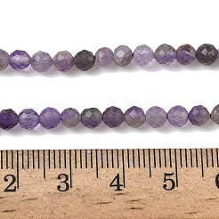 Natural Amethyst Beads Strands&nbsp;G-A252-A03-01A
