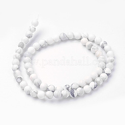Natural Howlite Bead Strands&nbsp;G-G735-66F-6mm