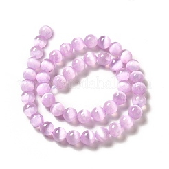 Natural Selenite Beads Strands&nbsp;G-P493-01B