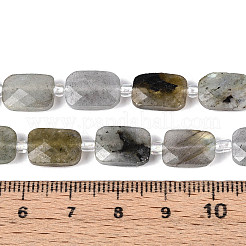 Natural Labradorite Beads Strands&nbsp;G-T139-75