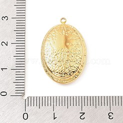 304ステンレススチール、アクリルパーツ付き  ゴールドカラー  楕円形のチャーム  25.5x16.5x7mm  穴：1.5mm&nbsp;STAS-Z199-11G-02