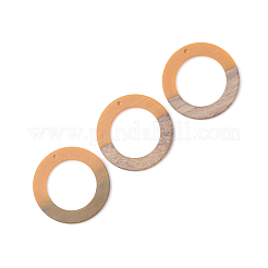 Resin & Wood Pendants&nbsp;RESI-T023-05E