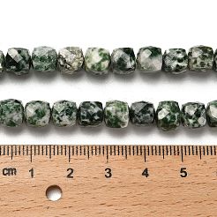 Natural Green Spot Jasper Beads Strands&nbsp;G-H078-C27-01