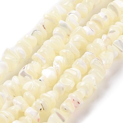 天然石シーシェルビーズ連売り  漂白  チップ  ホワイト  5~16x5~16x4.5~1~8mm  穴：0.5~0.7mm  約97~124個/連  15.35インチ〜15.94インチ（39cm〜40.5cm）&nbsp;SSHEL-S278-132