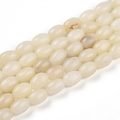 Natural White African Opal Beads Strands&nbsp;G-N346-02B-10