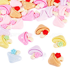 30Pcs Opaque Resin Cabochons&nbsp;CRES-TA0001-46