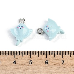 海洋生物樹脂ペンダント  プラチナ鉄ループ付き  魚  18.5x14x5.5mm  穴：2mm&nbsp;RESI-I061-02D