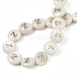 Natural Freshwater Shell Beads&nbsp;SHEL-S276-168