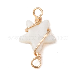 2Pcs 2 Styles Natural Freshwater Shell Copper Wire Wrapped Connector Charms&nbsp;PALLOY-JF02439