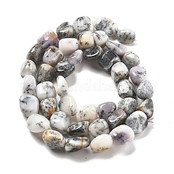 ナチュラルホワイトオパールビーズ連売り  ナゲット  8~15x5.5~12x4.5~10.5mm  穴：1~1.2mm  約40~42個/連  15.94''~16.34''（40.5~41.5センチメートル）&nbsp;G-C179-F02-01