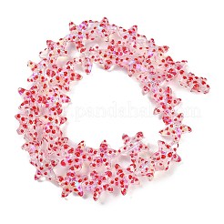 Handmade Lampwork Beads Strands&nbsp;LAMP-I027-09D