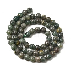 Natural Green Apatite Beads Strands&nbsp;G-K350-C04-6mm