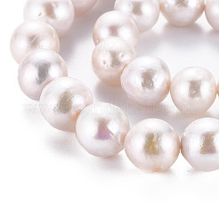 Natural Keshi Pearl Beads Strands&nbsp;PEAR-S020-L02