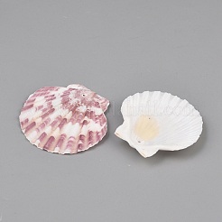 天然石シェルペンダント  貝殻の形のチャーム  インディアンレッド  34~54.5x38~57.5x4~7mm  穴：1.5mm&nbsp;SHEL-WH0008-14