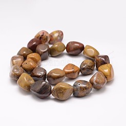 天然珪化木ビーズ連売り  ナゲット  15~25x10~18x12~16mm  穴：2mm  約22~25個/連  15.75インチ&nbsp;G-K153-D31