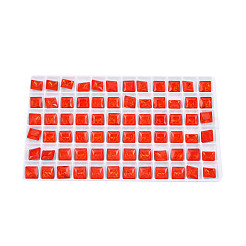 K9 Glass Rhinestone Cabochons&nbsp;MRMJ-N029-19-02