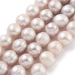 Natural Cultured Freshwater Pearl Beads Strands&nbsp;PEAR-C003-21E
