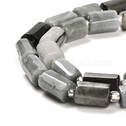 Natural Eagle Eye Stone Beads Strands&nbsp;G-G068-A24-01