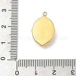 Natural Mixed Gemstone Pendants&nbsp;STAS-F312-02G