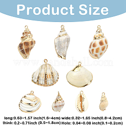 18Pcs 9 Styles Electroplate Natural Mixed Shell Pendants&nbsp;BSHE-YW0001-08