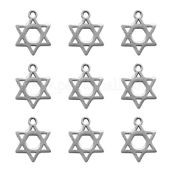304 Stainless Steel Charms&nbsp;STAS-CJ0002-06