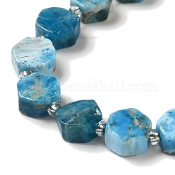 Natural Apatite Beads Strands&nbsp;G-P534-A02-02