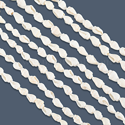 2 Strands Natural Trumpet Shell Beads Strands&nbsp;SHEL-LT0001-01