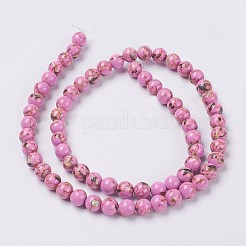 Sea Shell and Synthetic Turquoise Assembled Beads Strands&nbsp;G-G758-05-8mm