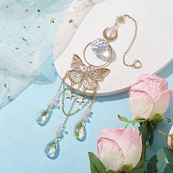 Butterfly Iron & 304 Stainless Steel Hanging Suncatchers&nbsp;HJEW-TA00158