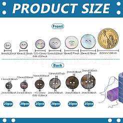 120Pcs 6 Styles 2-Hole Natural Shell Buttons&nbsp;BUTT-FG0001-47