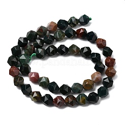 Natural Bloodstone/Heliotrope Beads Strands&nbsp;G-Z119-A16-02