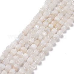 Natural Rainbow Moonstone Beads Strands&nbsp;G-K323-11