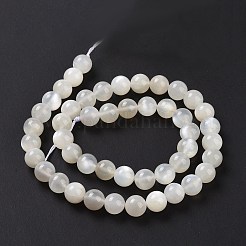 Natural White Moonstone Beads Strands&nbsp;G-F306-05AB-8mm