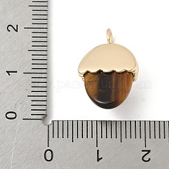 Natural Tiger Eye Pendants&nbsp;KK-Z107-02G-02
