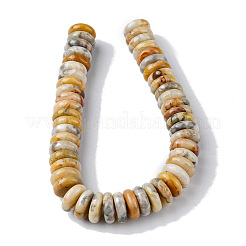 Natural Crazy Lace Agate Beads Strands&nbsp;G-F743-06J