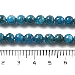 Natural Apatite Beads Strands&nbsp;LS-G-O186-G01-01