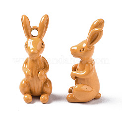 Spray Painted Brass Pendants&nbsp;KK-Q252-001G