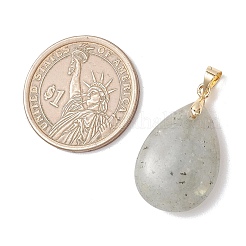 Natural Labradorite Pendants&nbsp;PALLOY-JF04953