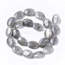 Natural Labradorite Beads Strands&nbsp;G-S359-001B