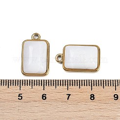 天然石ペンダント  304ステンレススチール製金具付き  長方形チャーム  ゴールドカラー  19.5x12x6~6.5mm  穴：1.7mm&nbsp;STAS-K291-04G-02